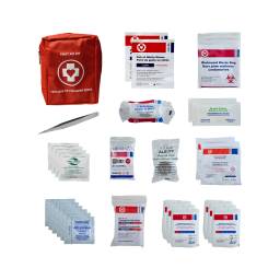 Type 1 Personal First Aid Kit image